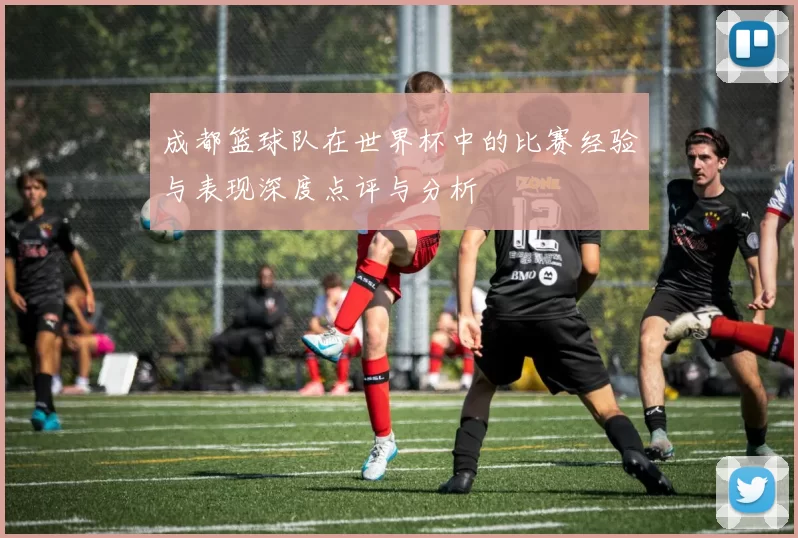 成都篮球队在世界杯中的比赛经验与表现深度点评与分析