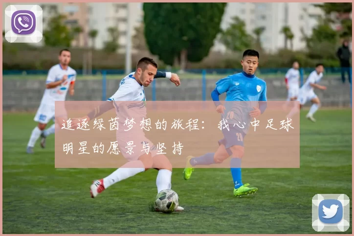 追逐绿茵梦想的旅程：我心中足球明星的愿景与坚持