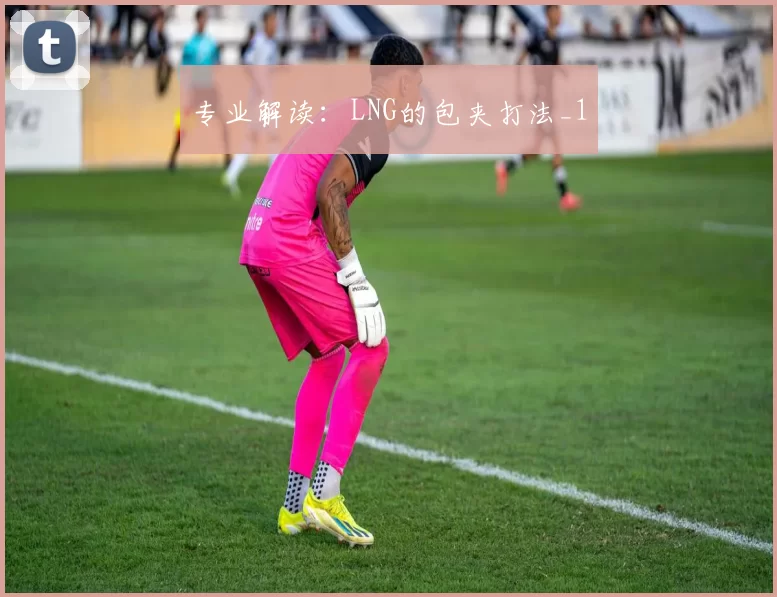 专业解读：LNG的包夹打法_1