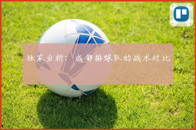 独家分析：成都排球队的战术对比