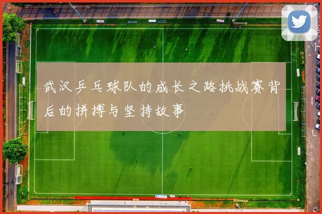 武汉乒乓球队的成长之路挑战赛背后的拼搏与坚持故事