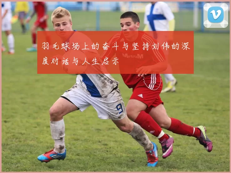 羽毛球场上的奋斗与坚持刘伟的深度对话与人生启示