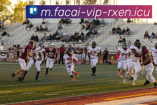 数据防护可视化